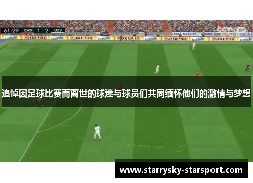 追悼因足球比赛而离世的球迷与球员们共同缅怀他们的激情与梦想